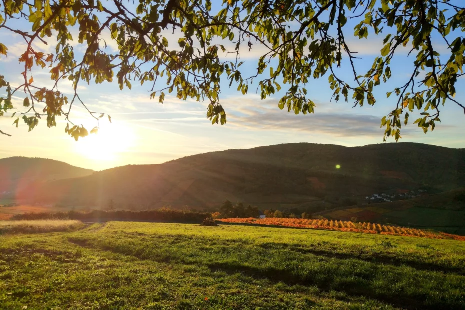 Coucher de soleil illuminant le Mont Brouilly sur une vue panoramique des coteaux du Beaujolais