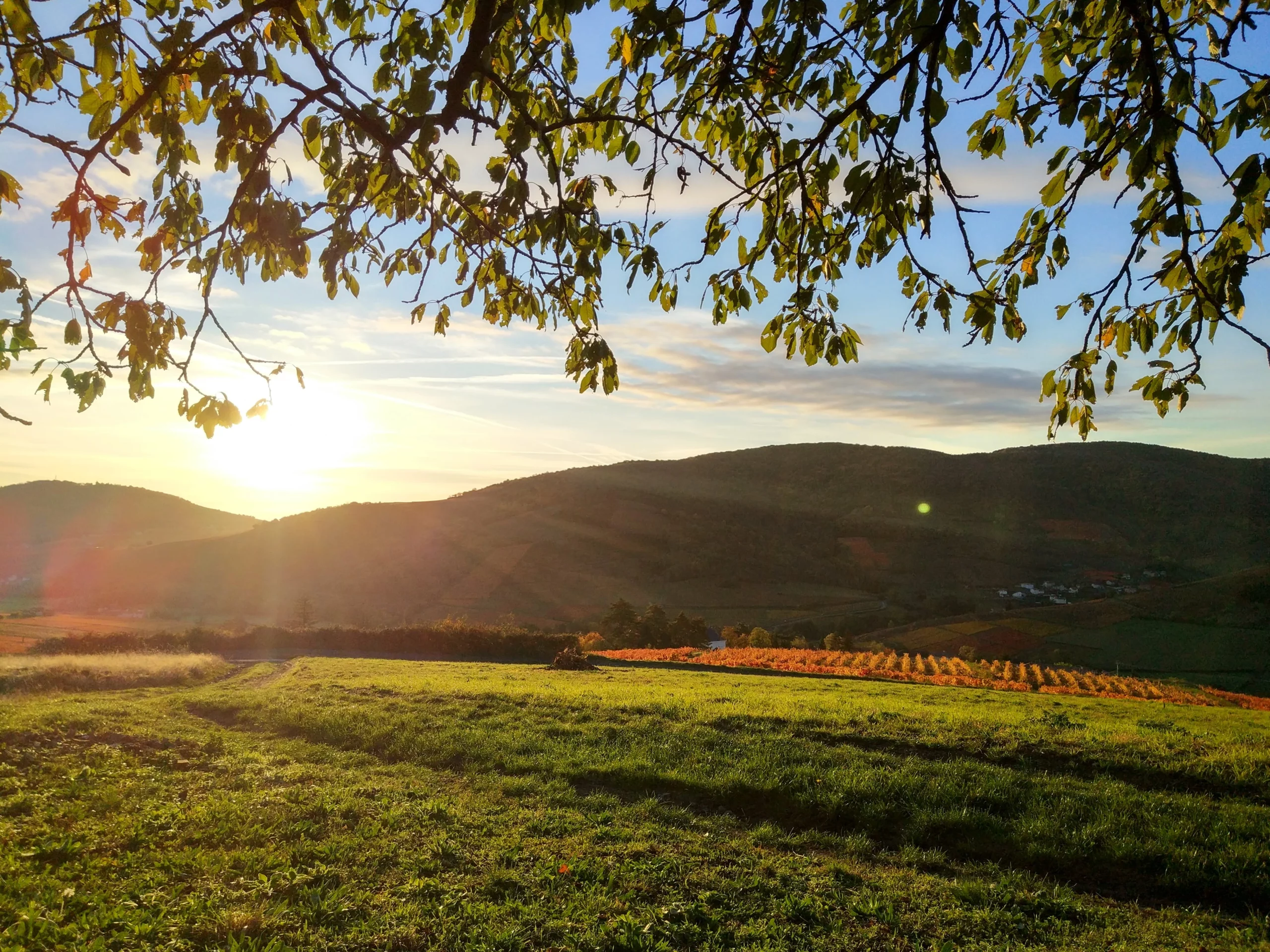 Coucher de soleil illuminant le Mont Brouilly sur une vue panoramique des coteaux du Beaujolais