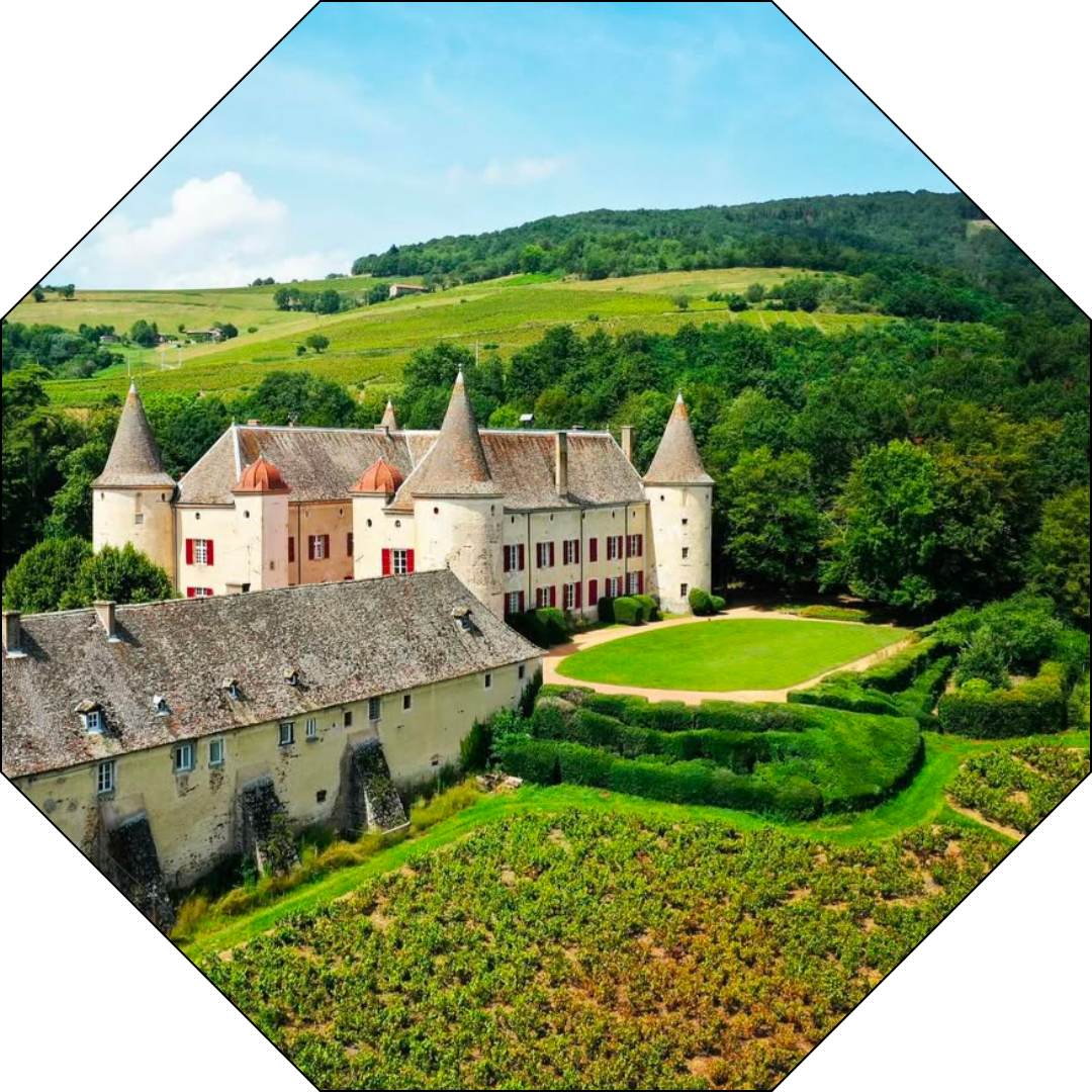 chateau-de-varenne-vue-du-domaine-dans-les-vignes