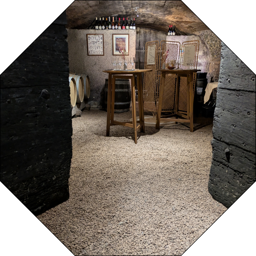 atelier vin et chocolat au coeur du chai