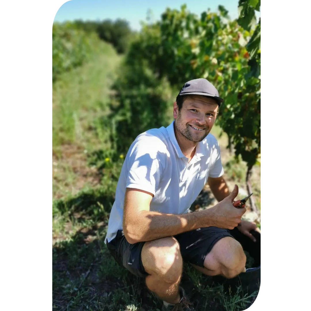 Au cœur de ses vignes des Coteaux du Lyonnais, Yann Fangeat du domaine d'Yf, jeune vigneron engagé, s’apprête à vendanger un raisin mûr. Un travail minutieux pour des vins d’exception.
