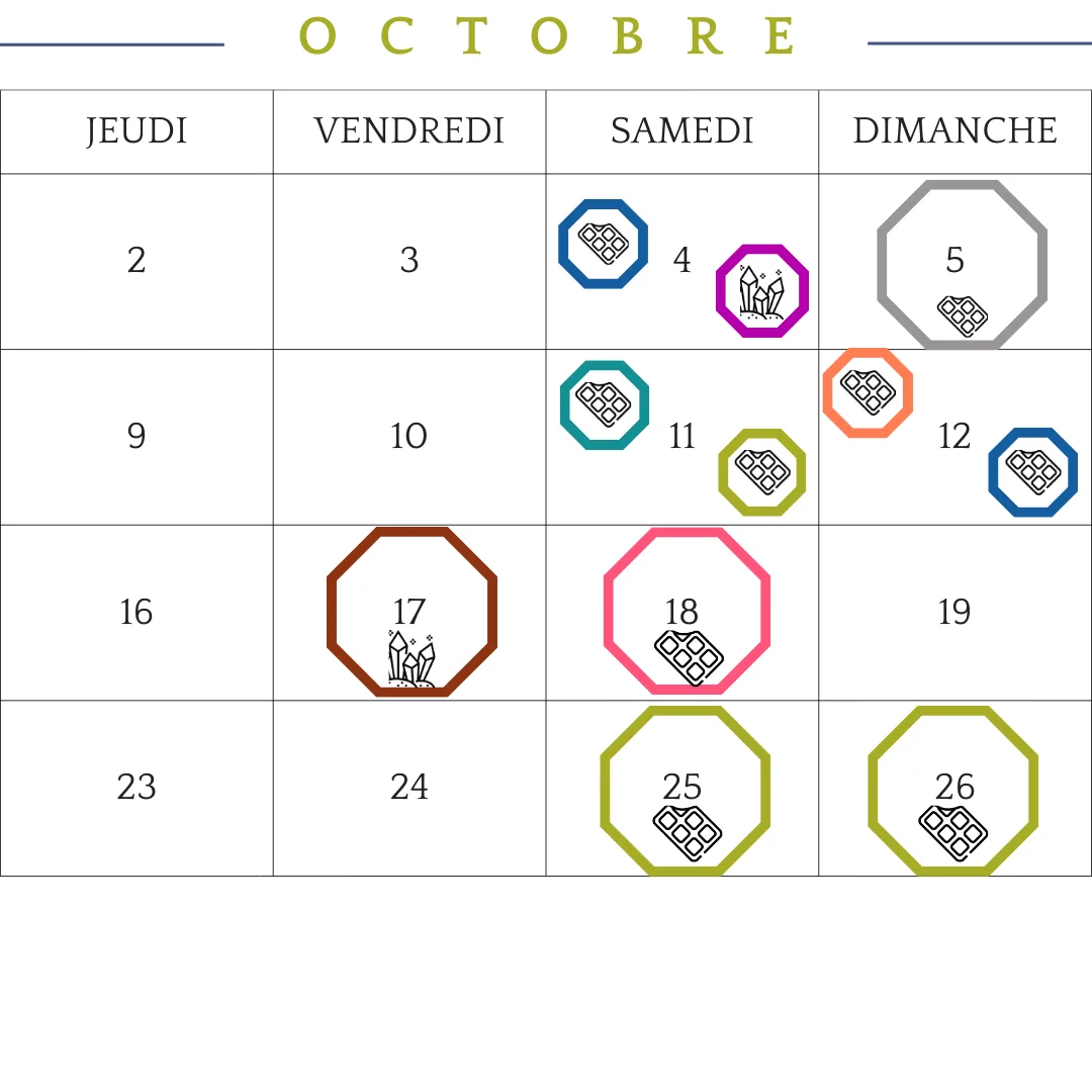 Planning visuel des ateliers thématiques de Les Epicurieuses avec des icônes pour chaque thème.