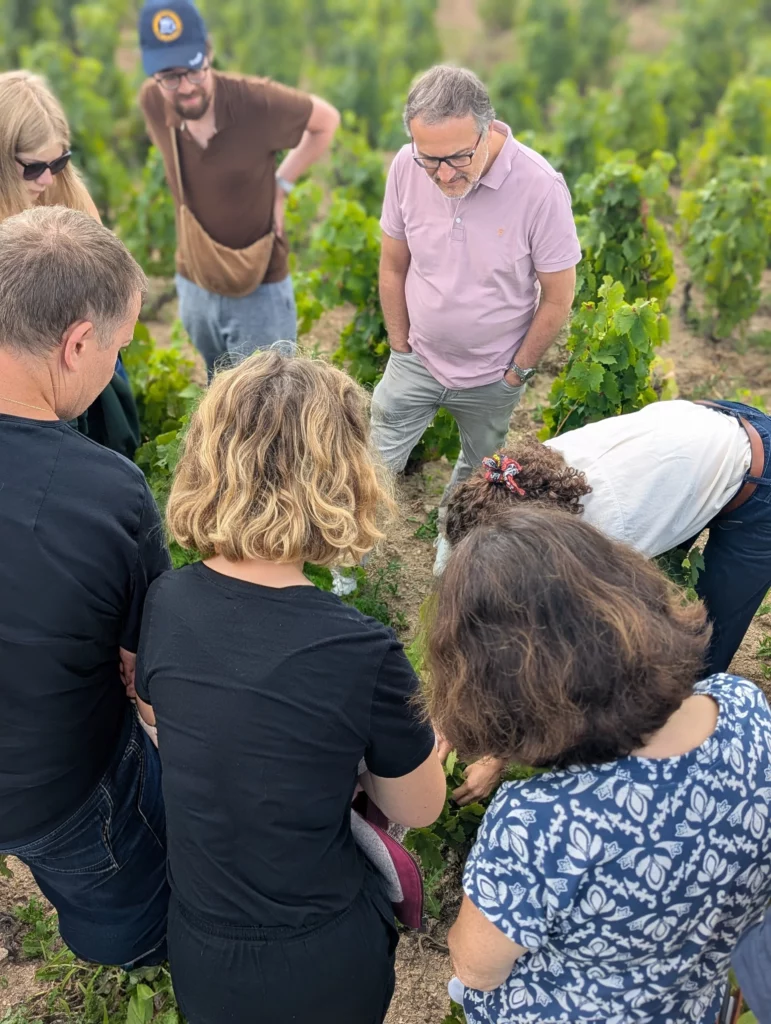Photo groupe séminaire immersion dans un vignoble beaujolais