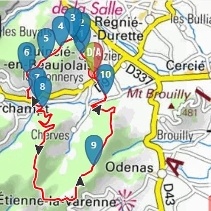 Circuit des 3 châteaux cheval Beaujolais