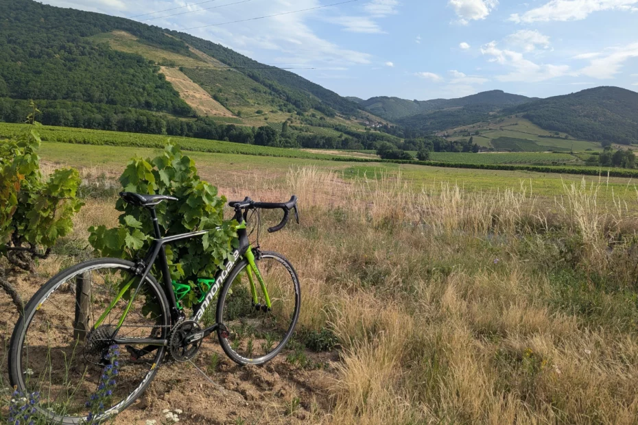 Vélo de route dans les vignes du beaujolais pour itinéraire cycliste sportif route des vins.