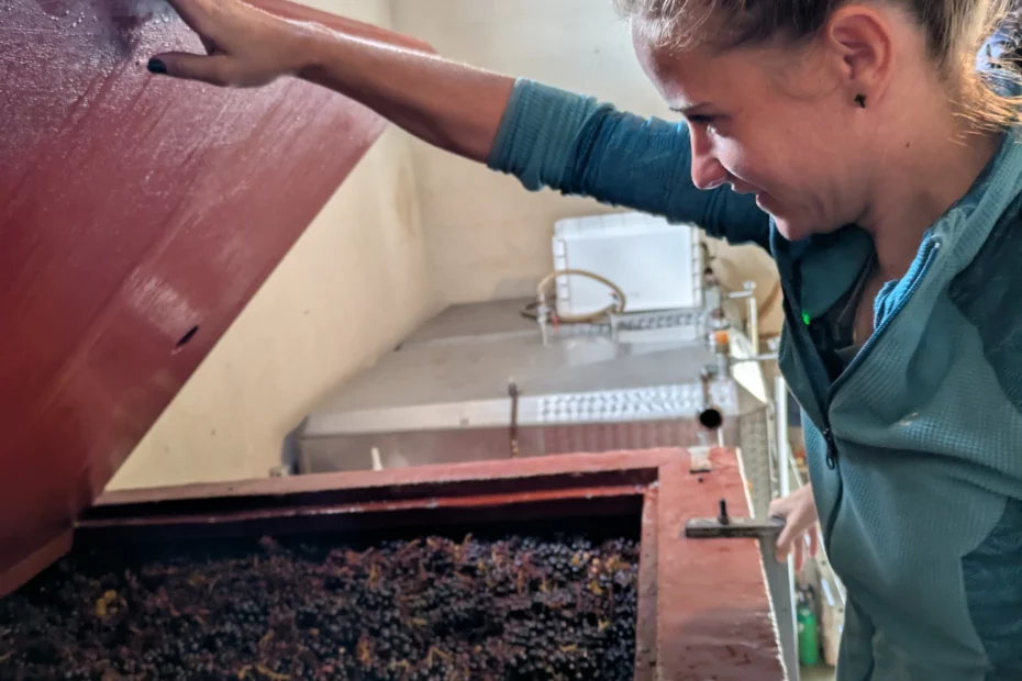 Vigneronne observant la macération des raisins dans une cuve de fermentation.