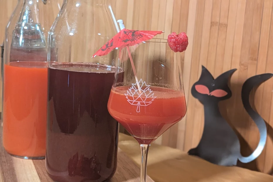 Cocktail Halloween sans alcool rouge "Sang des Sorcières" à base de jus d'orange sanguine et cerise, servi dans un verre élégant avec décoration de framboise.