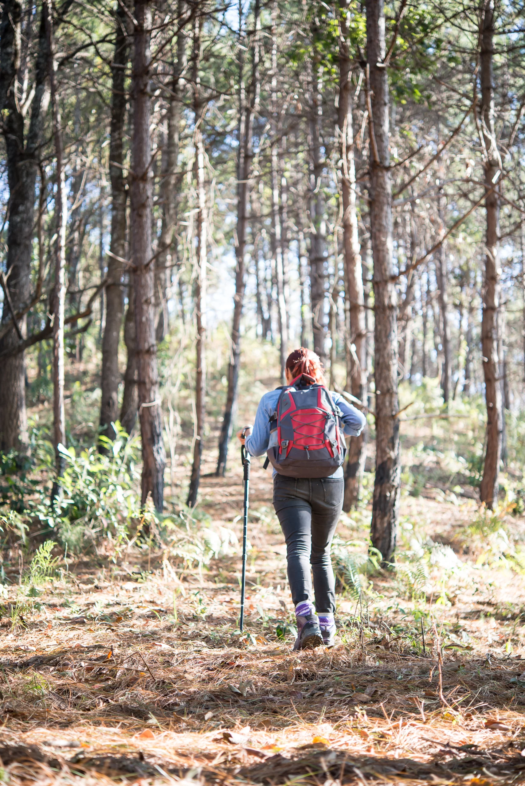 Femme pratiquant la marche nordique avec des bâtons sur un sentier forestier en Beaujolais.